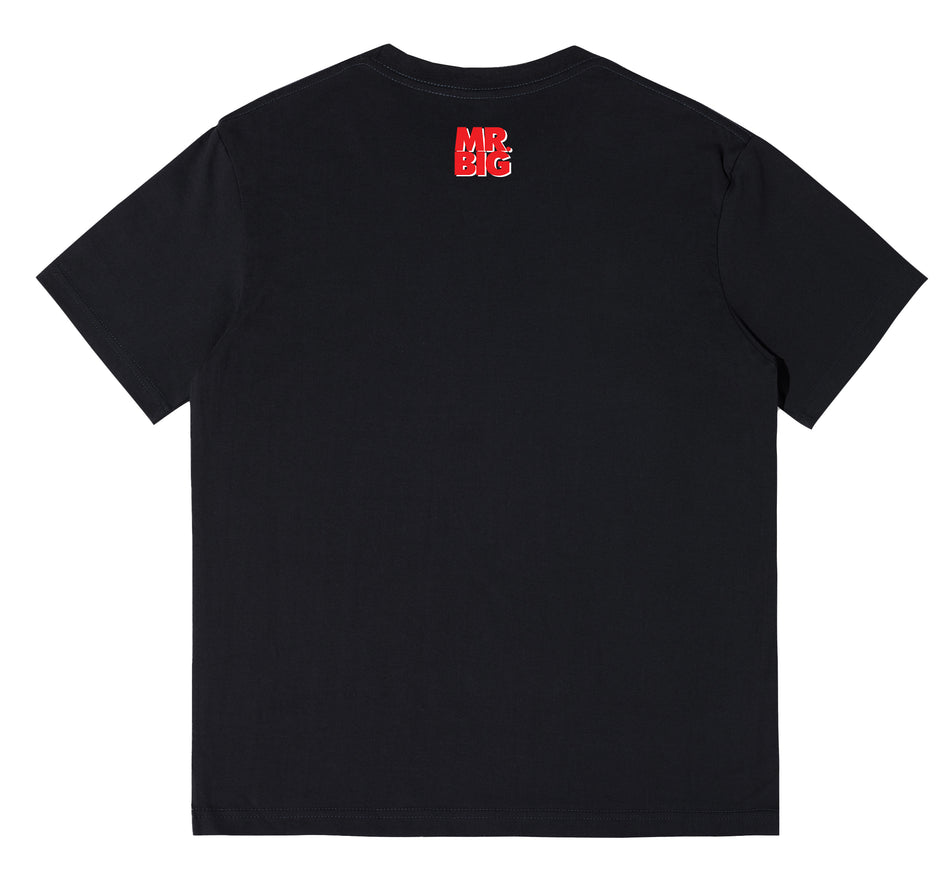 Mr. Big - The Big Finish Live  (Album Cover T-shirt)