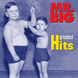 Mr. Big -- Greatest Hits (CD)