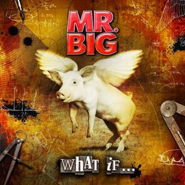 MR. BIG -- What If... (CD+DVD)